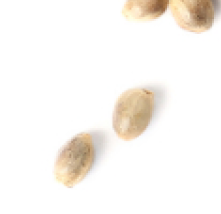 Three 6 Zero